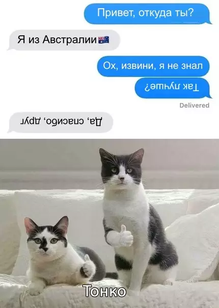Смешная картинка №373751