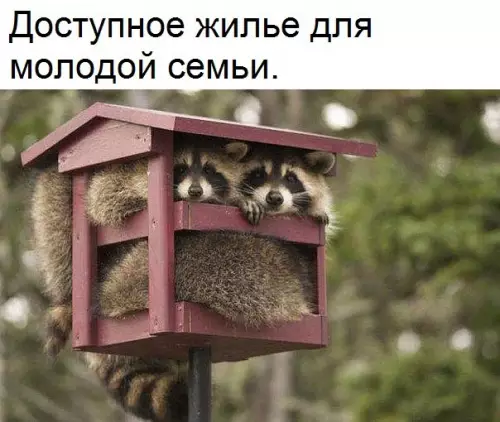 Смешная картинка №307068