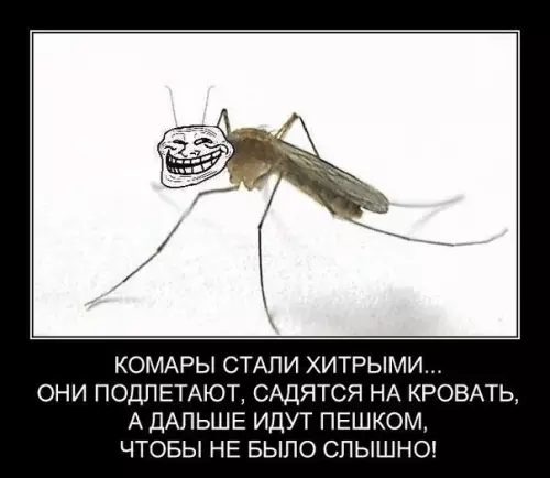 Смешная картинка №197850