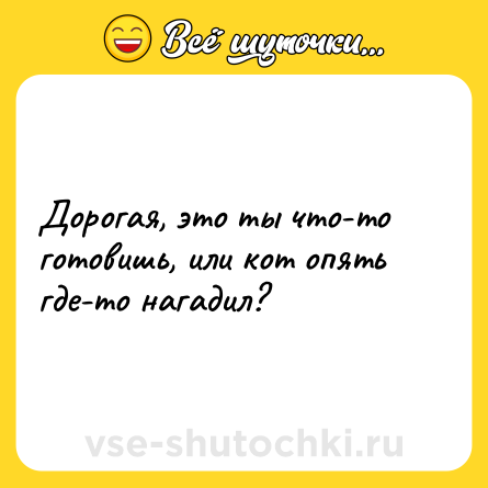 Шутка: Дорогая, это ты что-то готовишь, или кот опять где-то нагадил?