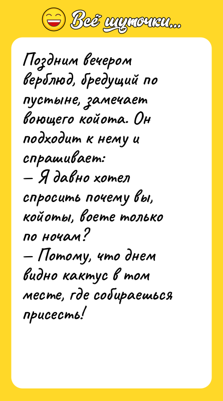 Поздним вечером верблюд, бредущий по пустыне, замечает воющего койота. Он