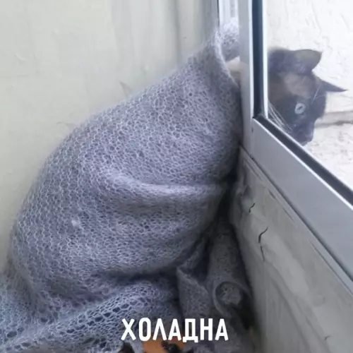 Смешная картинка №577276 Пять состояний лeтa: