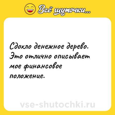 Шутка: Сдохло денежное дерево.<br>Это отлично описывает мое финансовое положение.