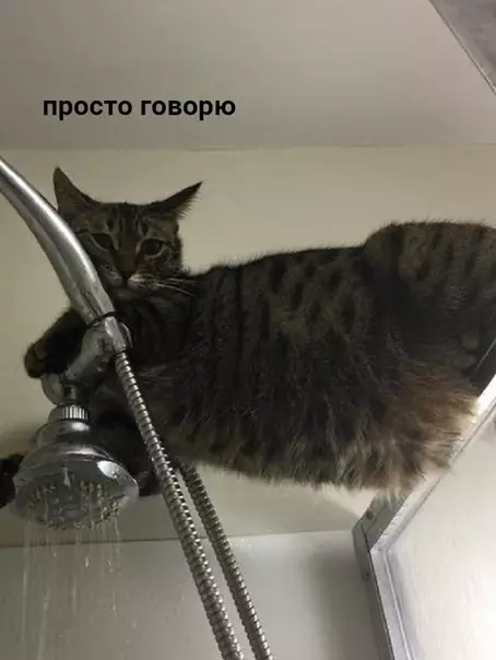 продолжение Смешная картинка №594093 Бывает, стоишь, принимаешь душ, как вдруг...