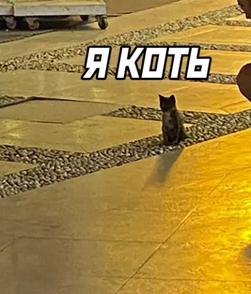 продолжение Смешная картинка №579811