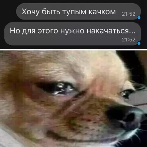 Смешная картинка №670631