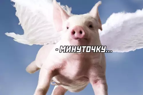 продолжение Смешная картинка №642226