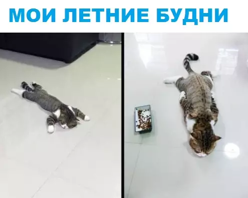 Смешная картинка №289530