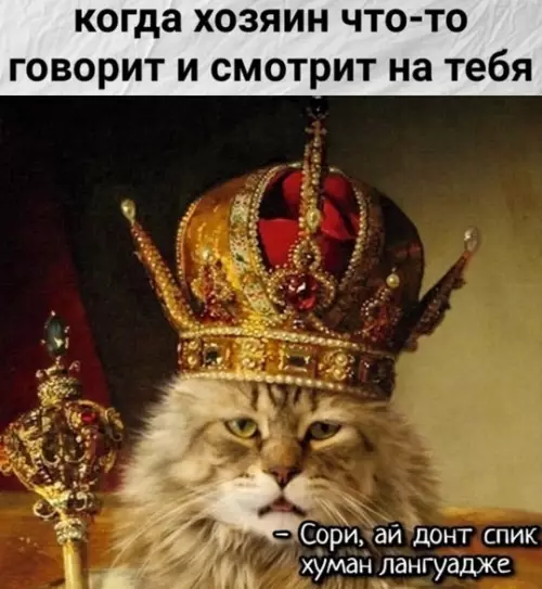 Смешная картинка №764762