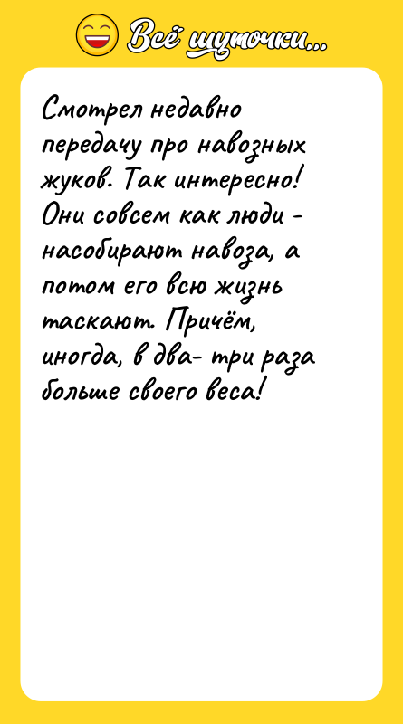 Смотрел недавно передачу про навозных жуков. Так интересно! Они совсем