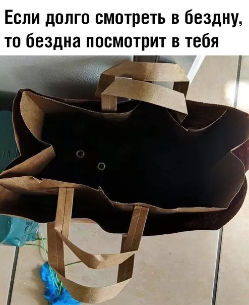 Смешная картинка №387203