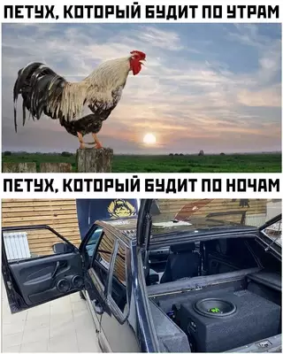 Смешная картинка №703205