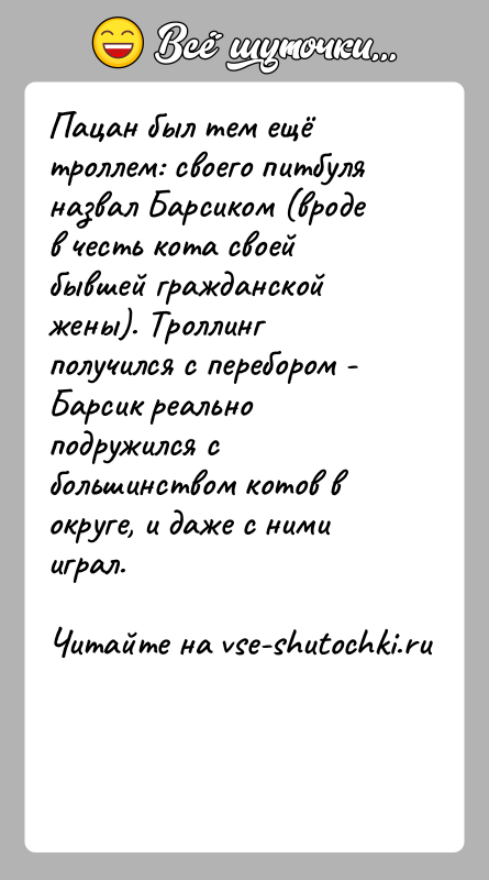 История: Пацан был тем ещё троллем: своего питбуля назвал Барсиком (вроде в честь кота своей бывшей гражданской жены). Троллинг получился с