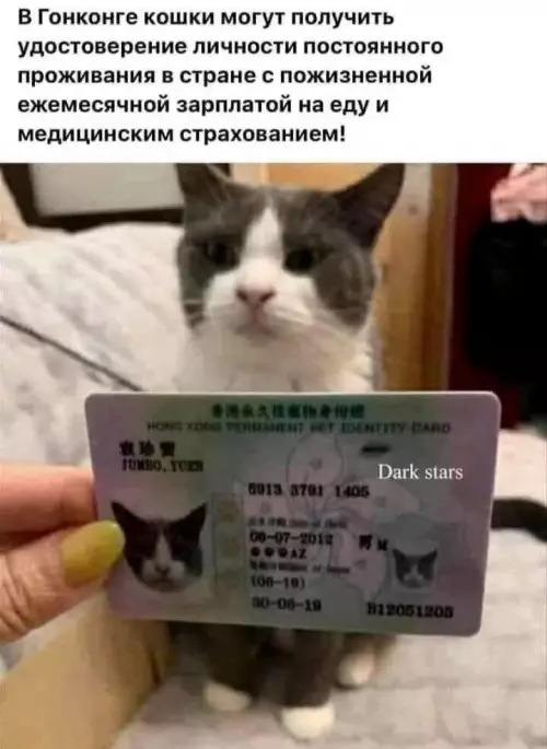 Смешная картинка №779512