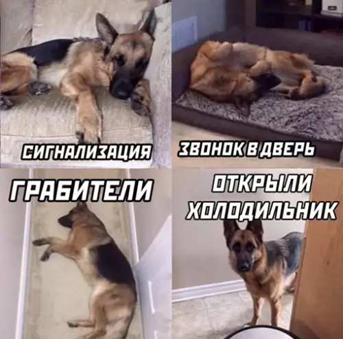 Смешная картинка №643254