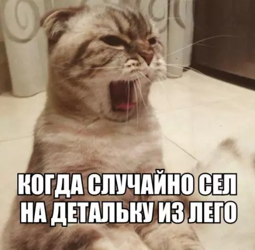 Смешная картинка №196612