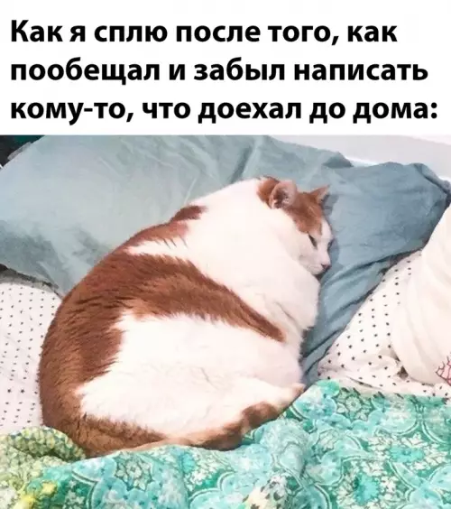 Смешная картинка №691152