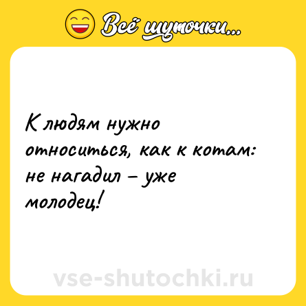 Шутка: К людям нужно относиться, как к котам: не нагадил – уже молодец!