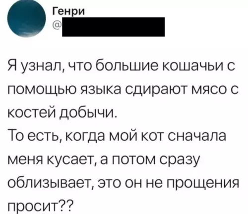 Смешная картинка №536293 Хищник недоросший