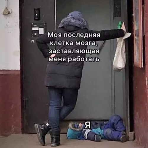 Смешная картинка №554886 Жизa
