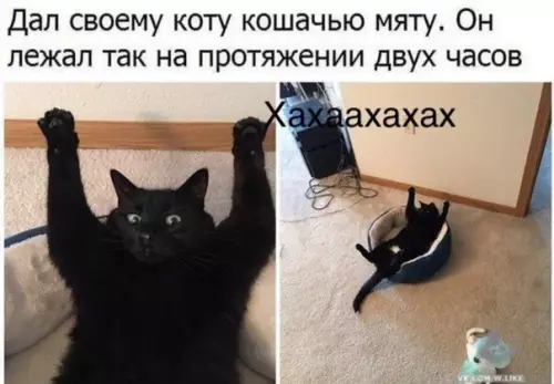 Смешная картинка №324107