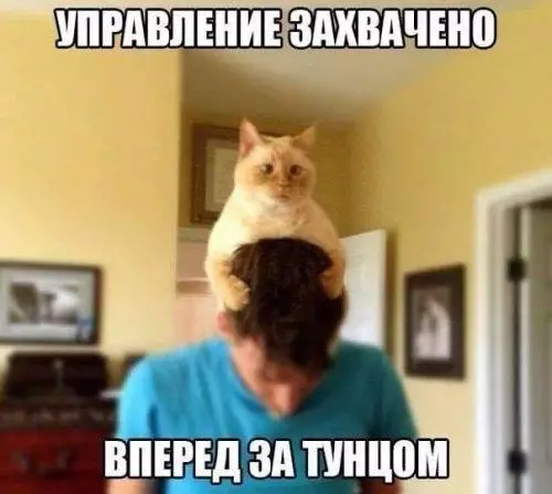 Смешная картинка №181506