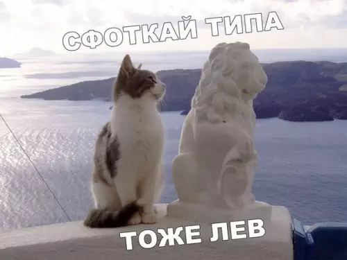 Смешная картинка №401754