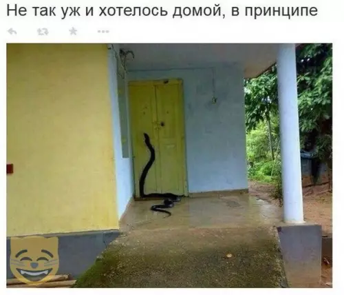 Смешная картинка №351507 #приколы #картинки #мемы ?
