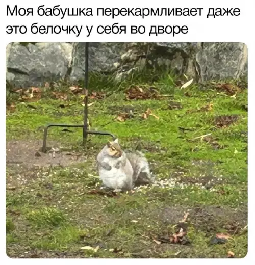 Смешная картинка №669542