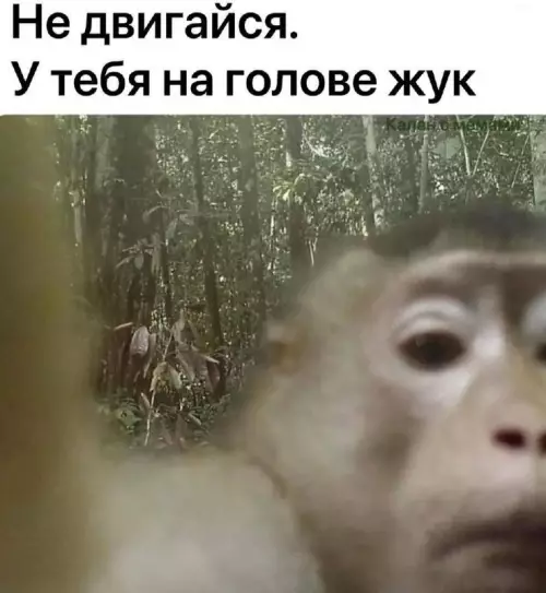 Смешная картинка №749813