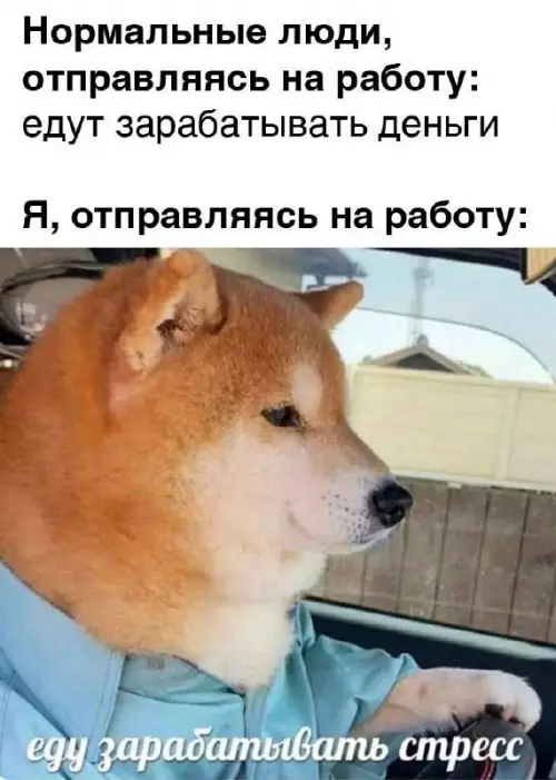 Смешная картинка №690371