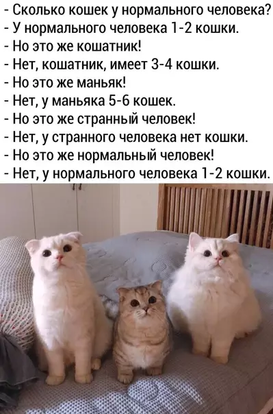 Смешная картинка №572788 У нормального человека 1-2 кошки