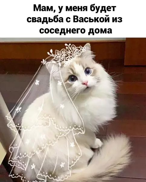 Смешная картинка №552907