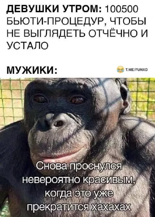 Смешная картинка №810289