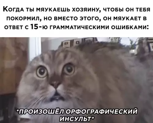 Смешная картинка №556368