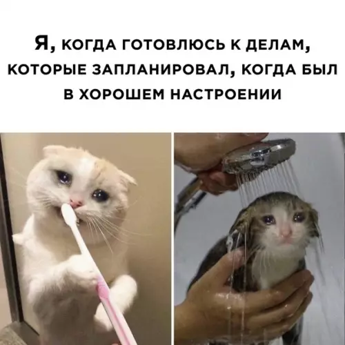Смешная картинка №509014