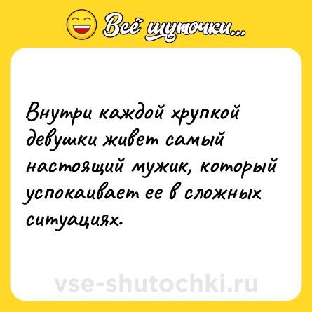 Шутка: Внутри каждой хрупкой девушки живет самый настоящий мужик, который успокаивает ее в сложных ситуациях.