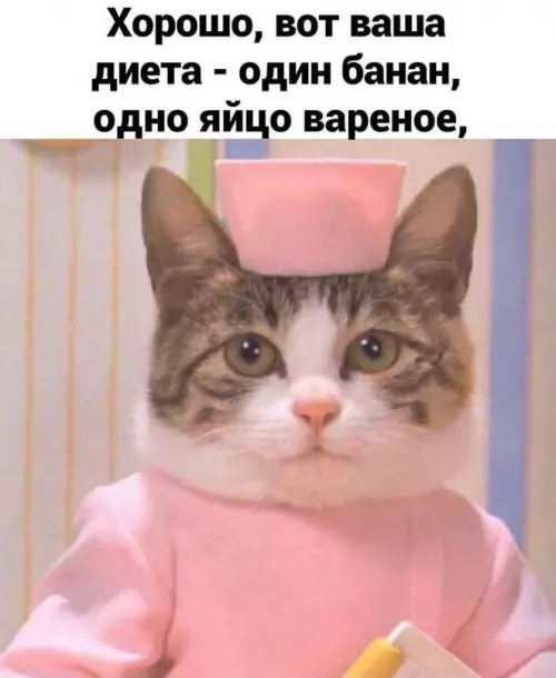 продолжение Смешная картинка №614159 Bмecтo