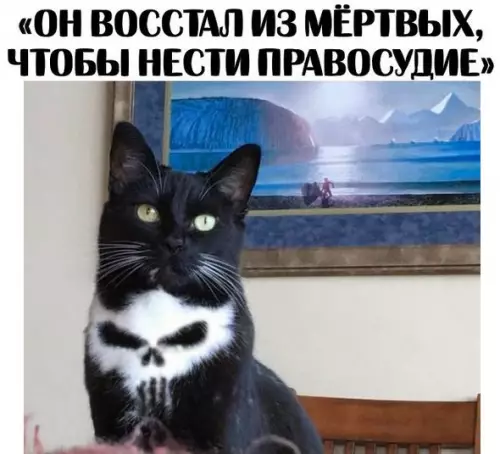 Смешная картинка №210204