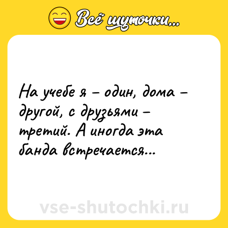 Шутка: На учебе я – один, дома – другой, с друзьями – третий. А иногда эта банда встречается...