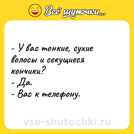 Шутка: - У вас тонкие, сухие волосы и секущиеся кончики?<br>- Да.<br>- Вас к телефону.