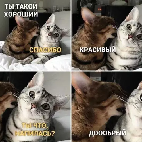 Смешная картинка №675686