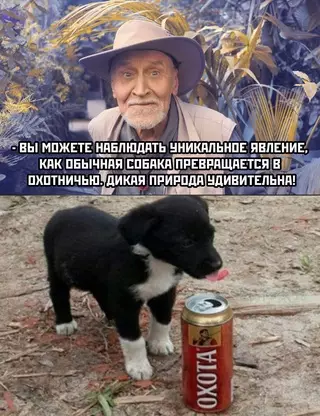 Смешная картинка №689943