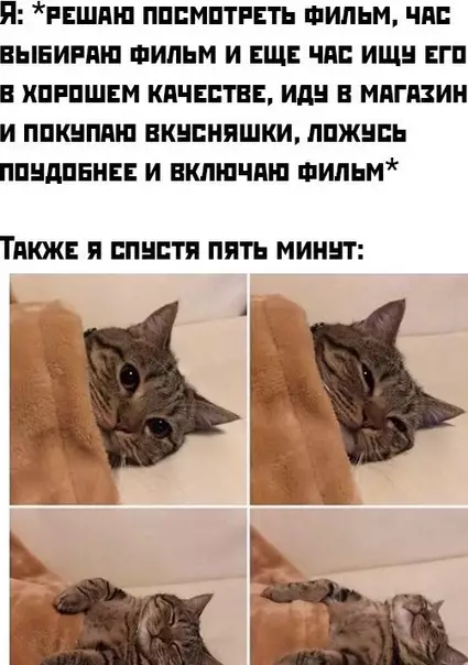 Смешная картинка №496523