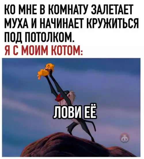 Смешная картинка №513761 Вы что, за мной следите?