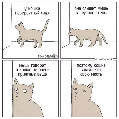 Смешная картинка №721009 Слух  Комментарии кошки