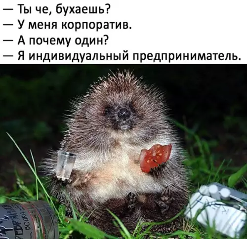 Смешная картинка №460526 Самозанятые в деле ?