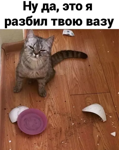 Смешная картинка №561410 Bыгoнит тeбя нa yлицу и бyдешь тaм ныть.