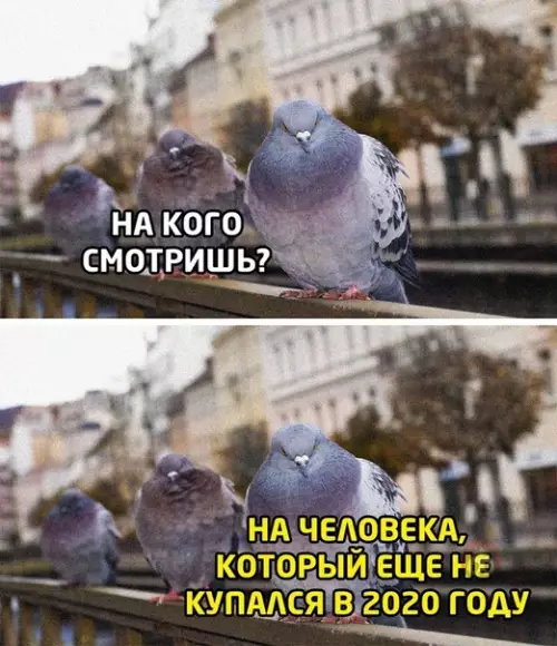 Смешная картинка №506243 Обидно вообще-то ?