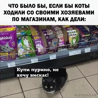 Смешная картинка №684225